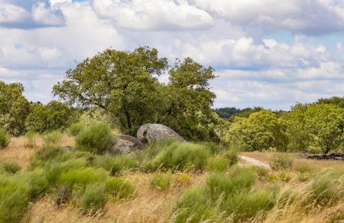 Herdade do Gamito - Foto 43