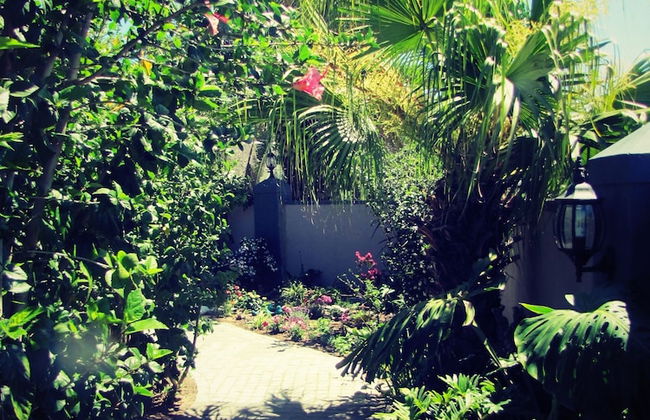 1AA Wilhelminia Apartments - Foto 55