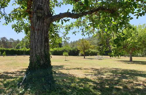 LE CLOS VARNAY - Foto 11