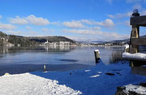 Vogelnescht19 - Foto 29