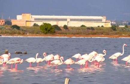 Casa vacanze Sea&Sun - Foto 41