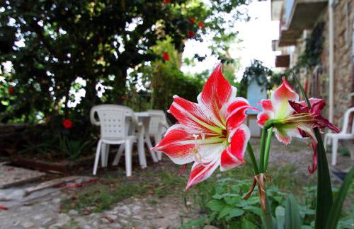 Stanza del pescatore - casa rustica sul lungomare - Foto 13