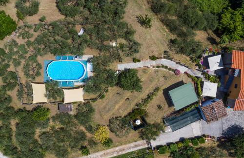 Apartment Poggetto 1 by Interhome - Foto 40