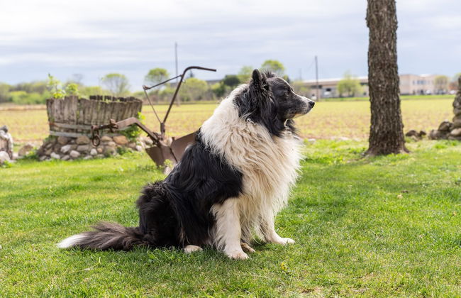 Agriturismo Pozzo Fiorito - Foto 65