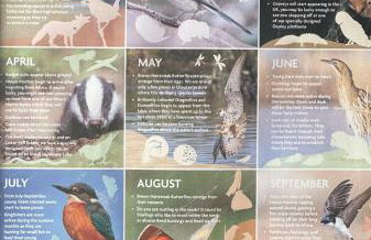 Carp's Rise Cottage - Foto 31