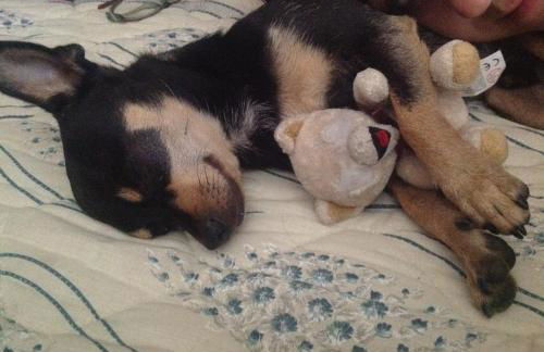 Agriturismo Borgo San Nicolao - Foto 60