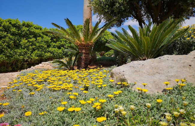 Sal739 in Pescoluse With 2 Bedrooms and 2 Bathrooms - Foto 37