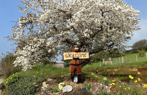 1 Bed in Looe oc-90173 - Photo 11