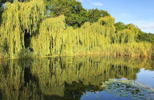 Seymour House - Photo 24