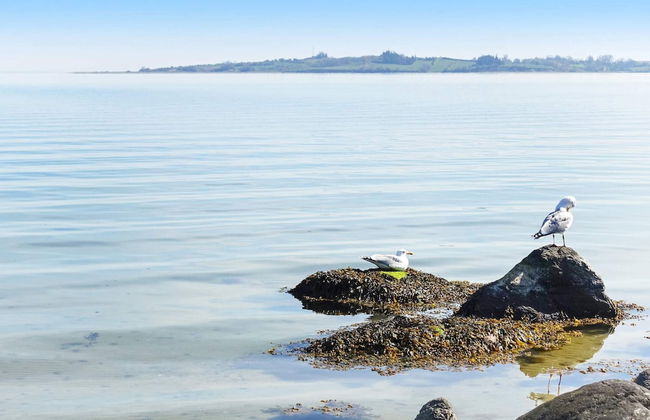 4 Person Holiday Home in Aabenraa - Foto 30