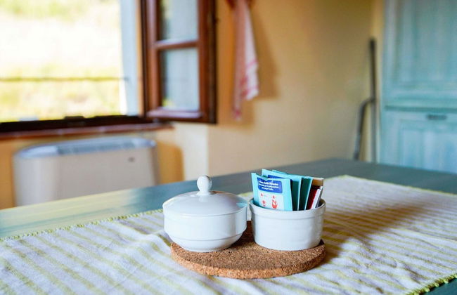 Farmhouse in Tuscany Near Anghiari - Photo 17