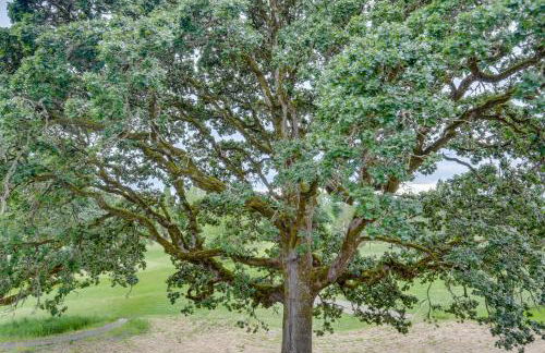 Bayou on the 9 - Foto 24