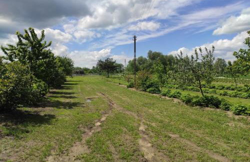 Agroturystyka Kobylnica nad Wisłą - Foto 60