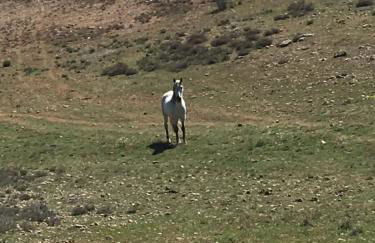 Masia La Casablanca - Foto 9