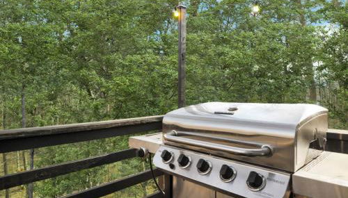 Fireplace Grill Games & Dogs near Bryce Resort - Photo 5