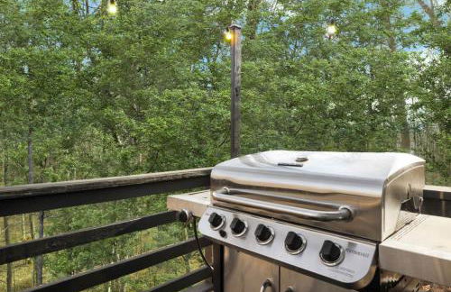 Fireplace Grill Games & Dogs near Bryce Resort - Photo 5