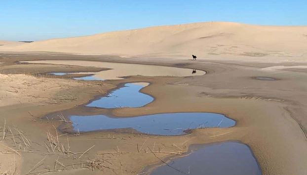 Enjoy a day hiking through Parque das Dunas