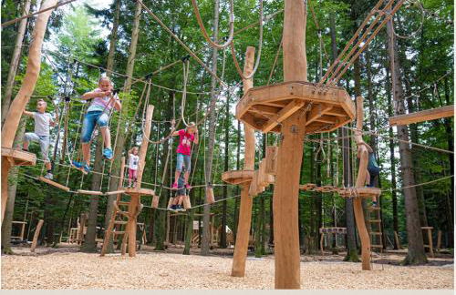 Ferienwohnung am Enzufer mit Wintergarten Bad Wildbad im Schwarzwald - Foto 35
