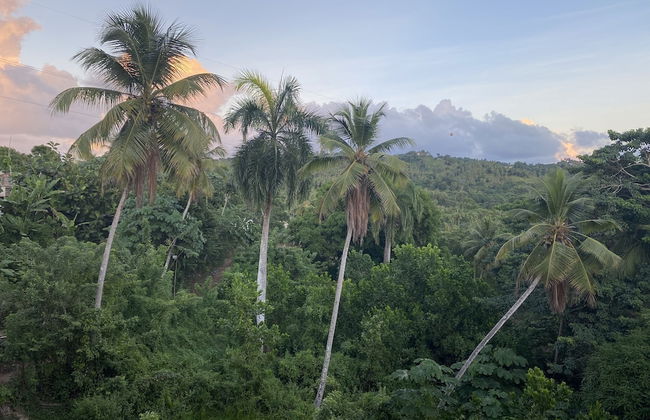 Quiet Studio - Apartment 4 in Villa Coconut - Foto 17