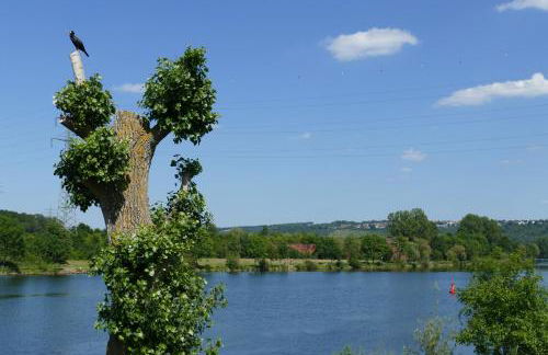 Apartment Am Markt 13 - Foto 13