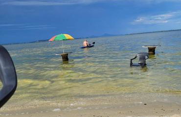 Lugar de descanso e muito verde praia e lagoa Araruama - Foto 16