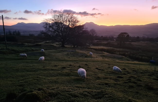 Rhiw Goch Inn Holiday Home - Photo 22