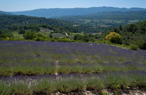 Maison de campagne La Teranga au coeur du Luberon - Photo 13