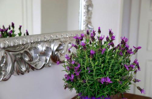 Villa Angelina - Foto 80