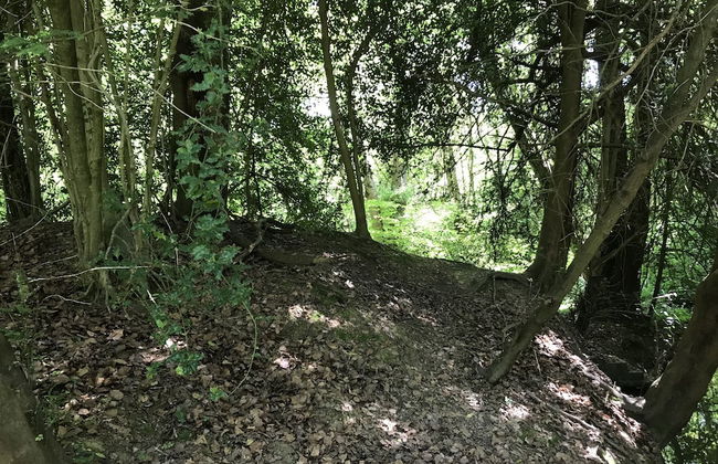 Private and Secluded Cabin in Rowfant - Foto 20