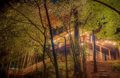 Crabapple-Secluded cabin with pond creek access, hot tube, fire pit in Blue Ridge - Photo 33