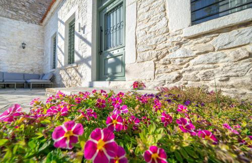 Hibiscus Villa - Foto 6