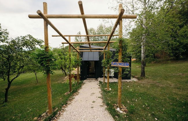 PurpleVague - Photo 30