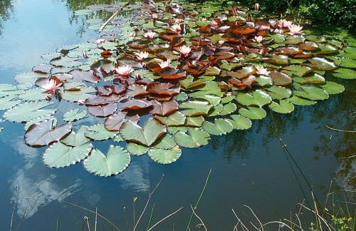 Ferienhof Niemann Wohnung 7 - Foto 19