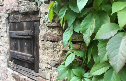 Gite spacieux et cosy à la campagne proche de Strasbourg - Foto 27