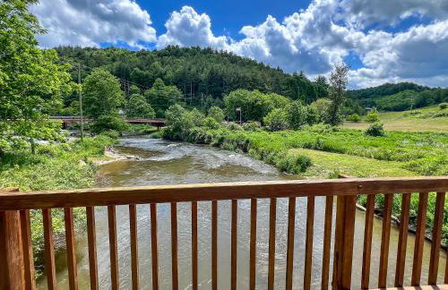 Bear Necessities - Photo 6