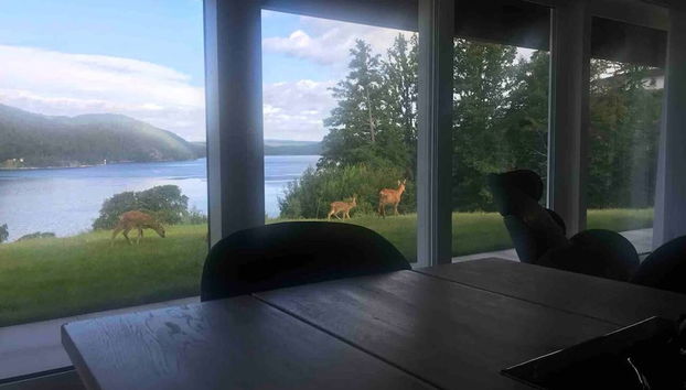 Essbereich im Zimmer