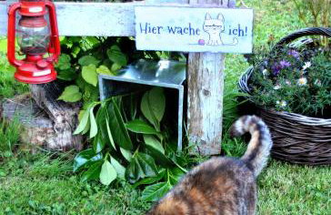 Zauberhaftes Gästehaus/Ferienwohnung Am Tiefenbach - Foto 31