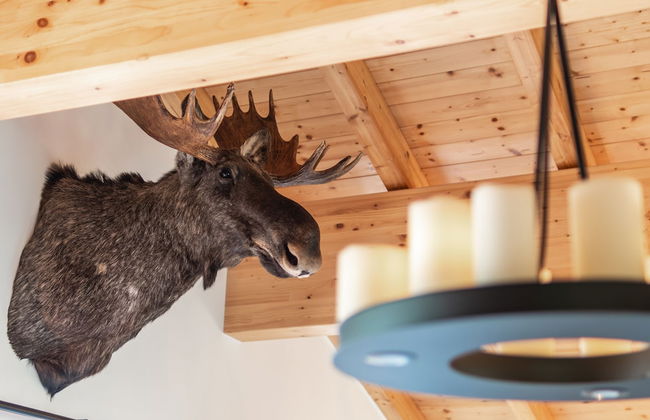 Chalet Dorf Wagrain Alpenleben - Foto 66