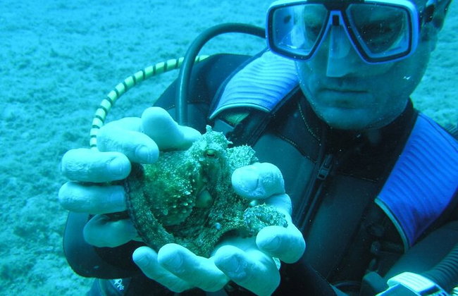 BUCEO: La exploración submarina de Kallithea - Foto 8