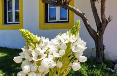 Sondela Self Catering - Foto 23