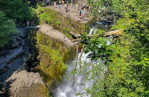 Waterfall Lodge - Foto 59