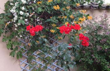 La petite Maison dans la Croix Rousse - Foto 41