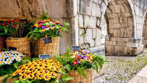 Il Bagolaro Casa Vacanze - Foto 3