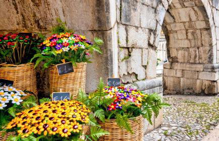 Il Bagolaro Casa Vacanze - Foto 3