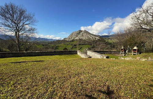Escuelas de collía A - Photo 3