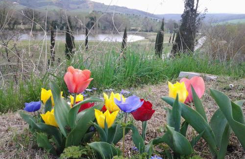 Residence Ai Campi Da Golf Saturnia - Foto 65