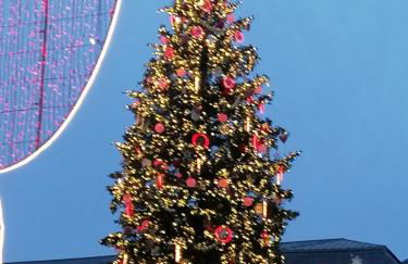 Strasbourg Pont de l'Europe - Foto 25