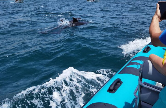 Private Tour zu den Benagil-Höhlen ab Portimao - Foto 4
