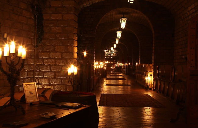 Villa Vinarte Elegant Home 2 Pools Tennis spa Winery Exclusively for you - Foto 56