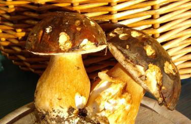 Agriturismo La Casa delle Fate - Photo 69